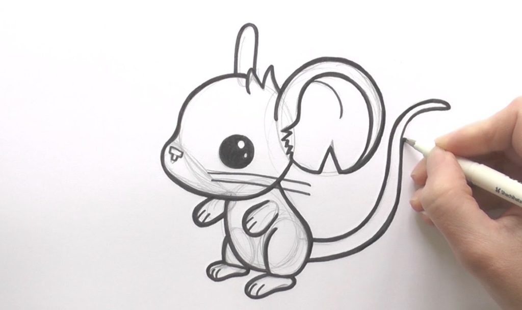 drawing
